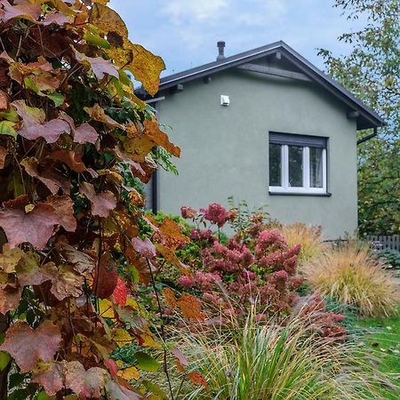 Green House - Two Bedroom Apartment Bielsko-Biała Zewnętrze zdjęcie