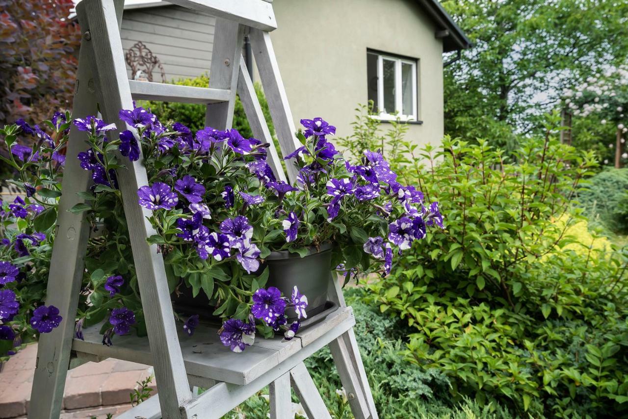 Green House - Two Bedroom Apartment Bielsko-Biała Zewnętrze zdjęcie