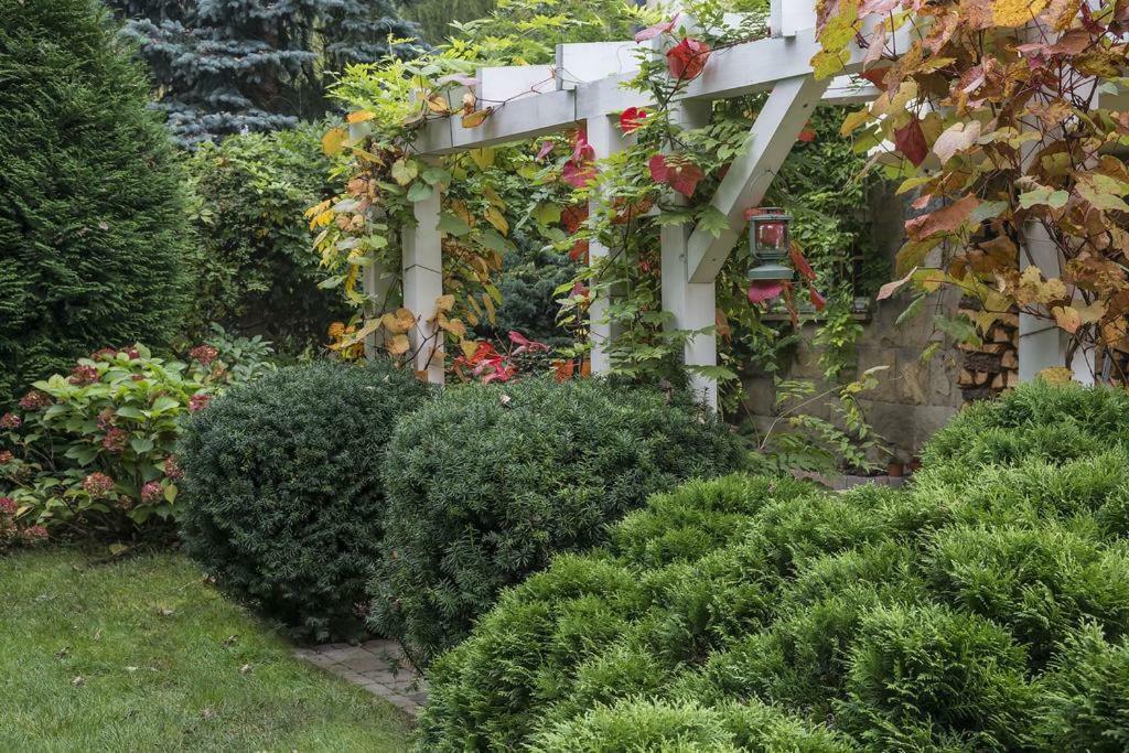 Green House - Two Bedroom Apartment Bielsko-Biała Zewnętrze zdjęcie